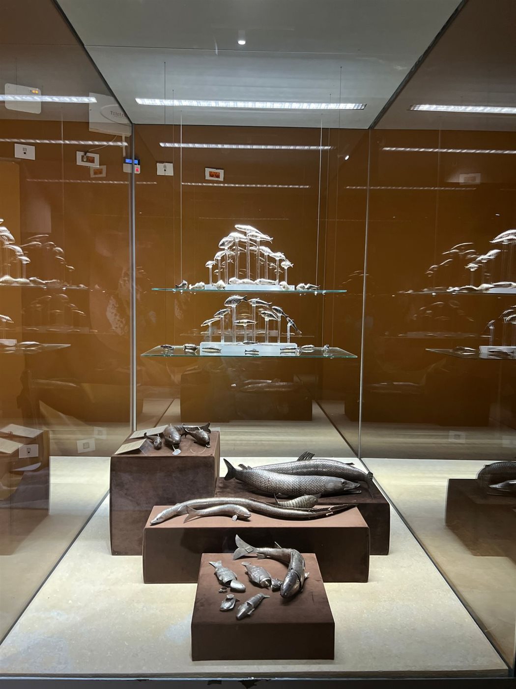 معرض مؤقت بمتحف شرم الشيخ