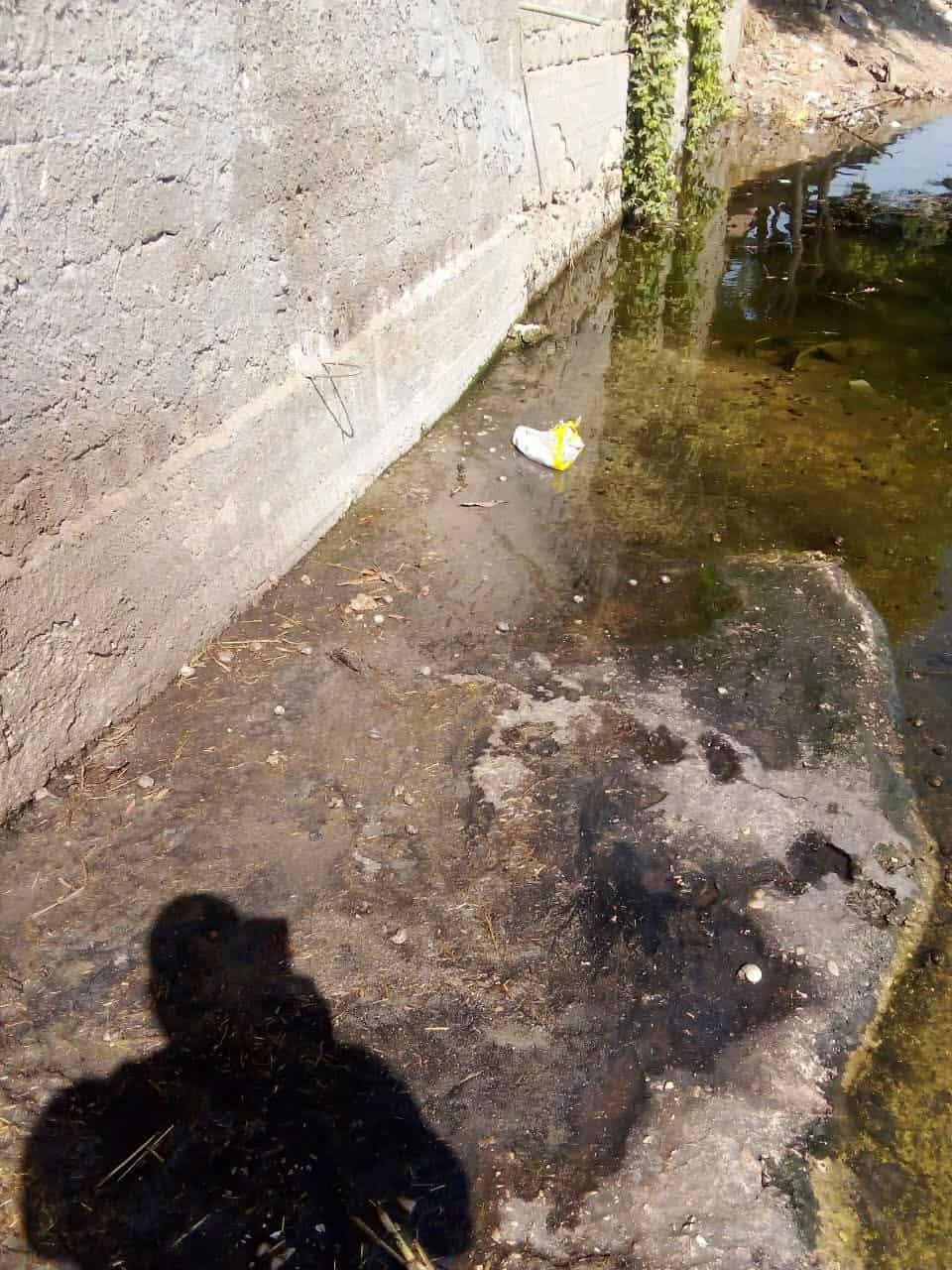 حظيرة مواشي تصرف مخلفاتها داخل نهر النيل في قنا.. وتحرك عاجل من البيئة