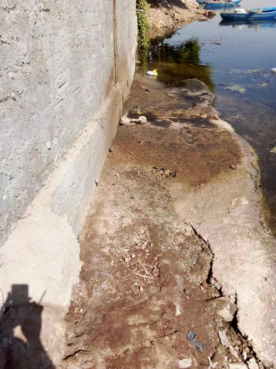 حظيرة مواشي تصرف مخلفاتها داخل نهر النيل في قنا.. وتحرك عاجل من البيئة