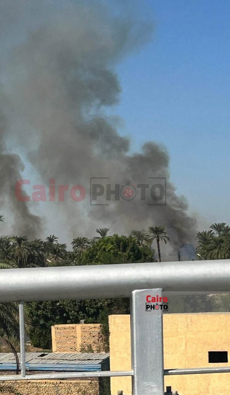 حريق حلف ونخيل بالكرنك
