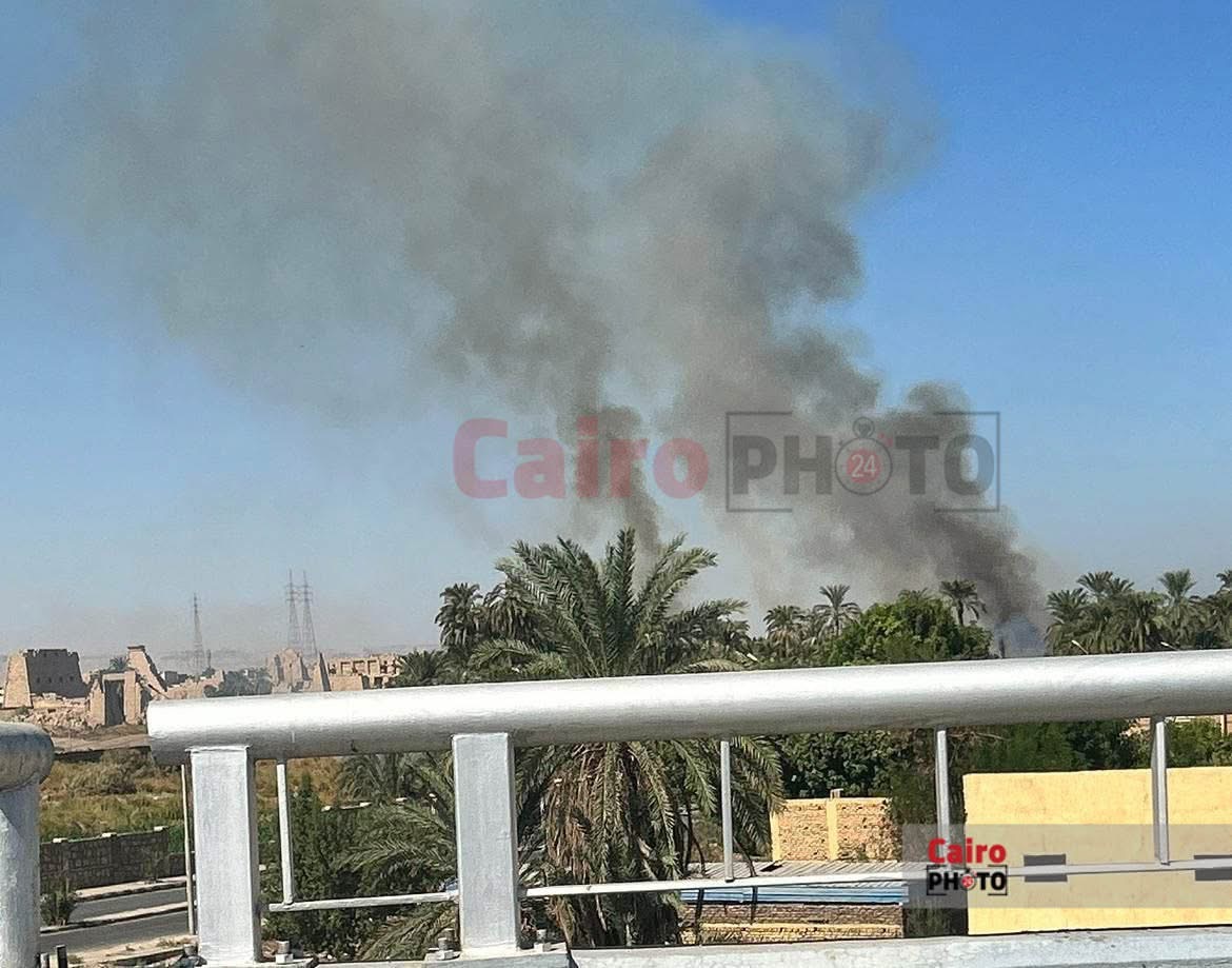 حريق حلف ونخيل بالكرنك