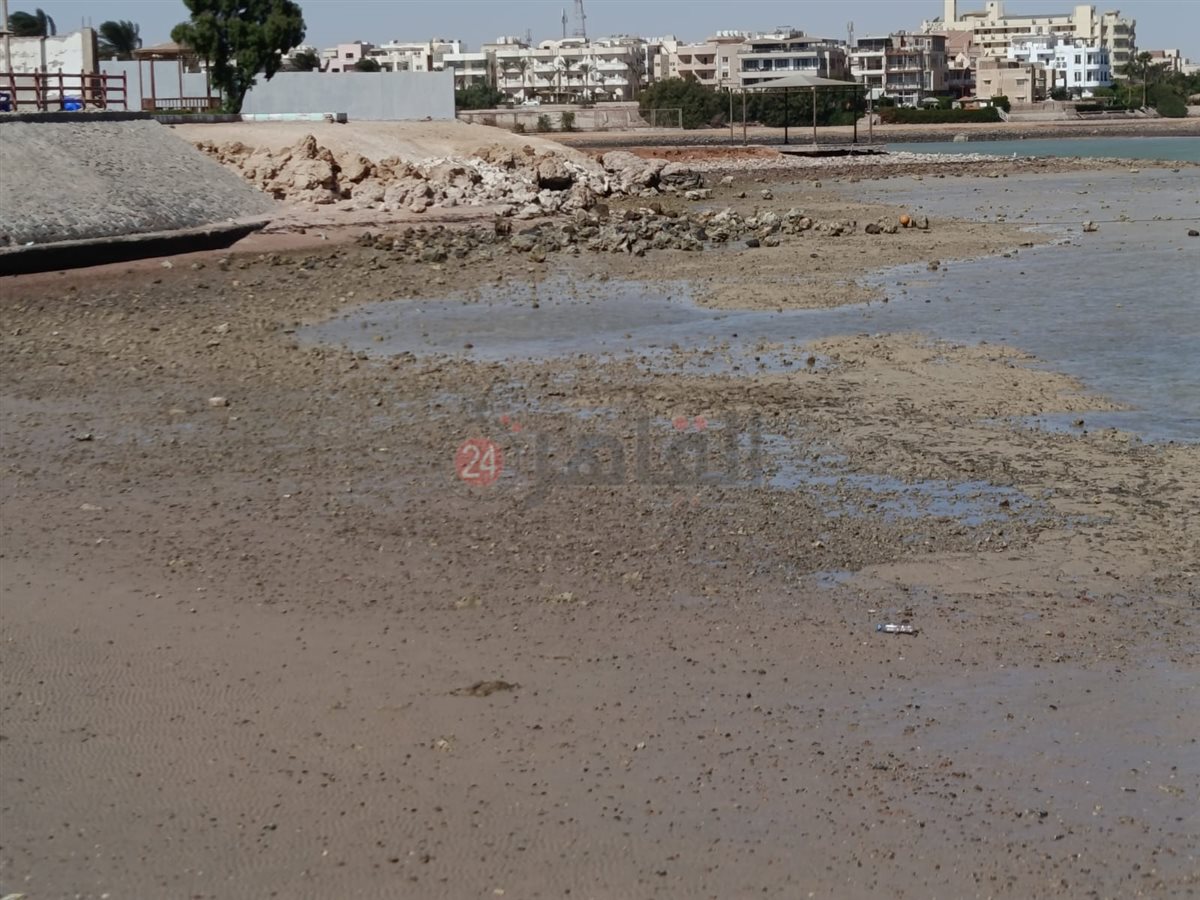 الجَزر على شواطئ الغردقة 