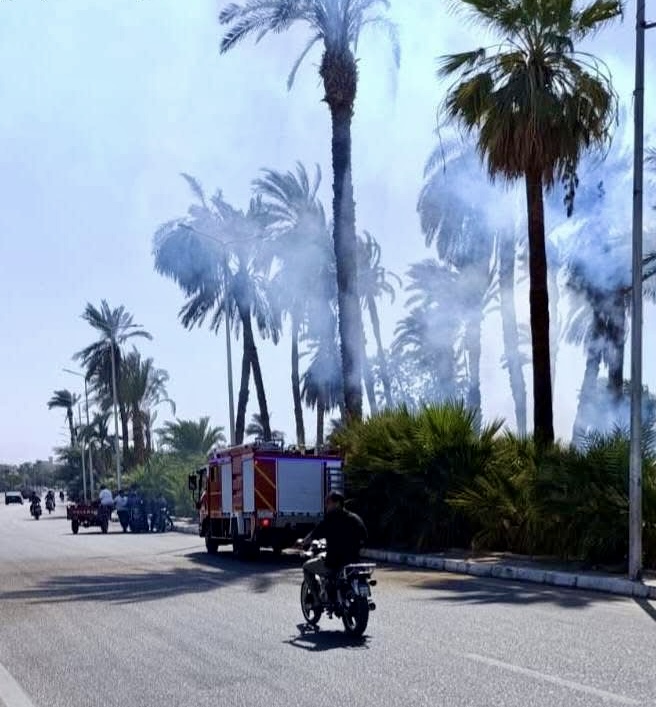 حريق بنخيل مبارك بالأقصر