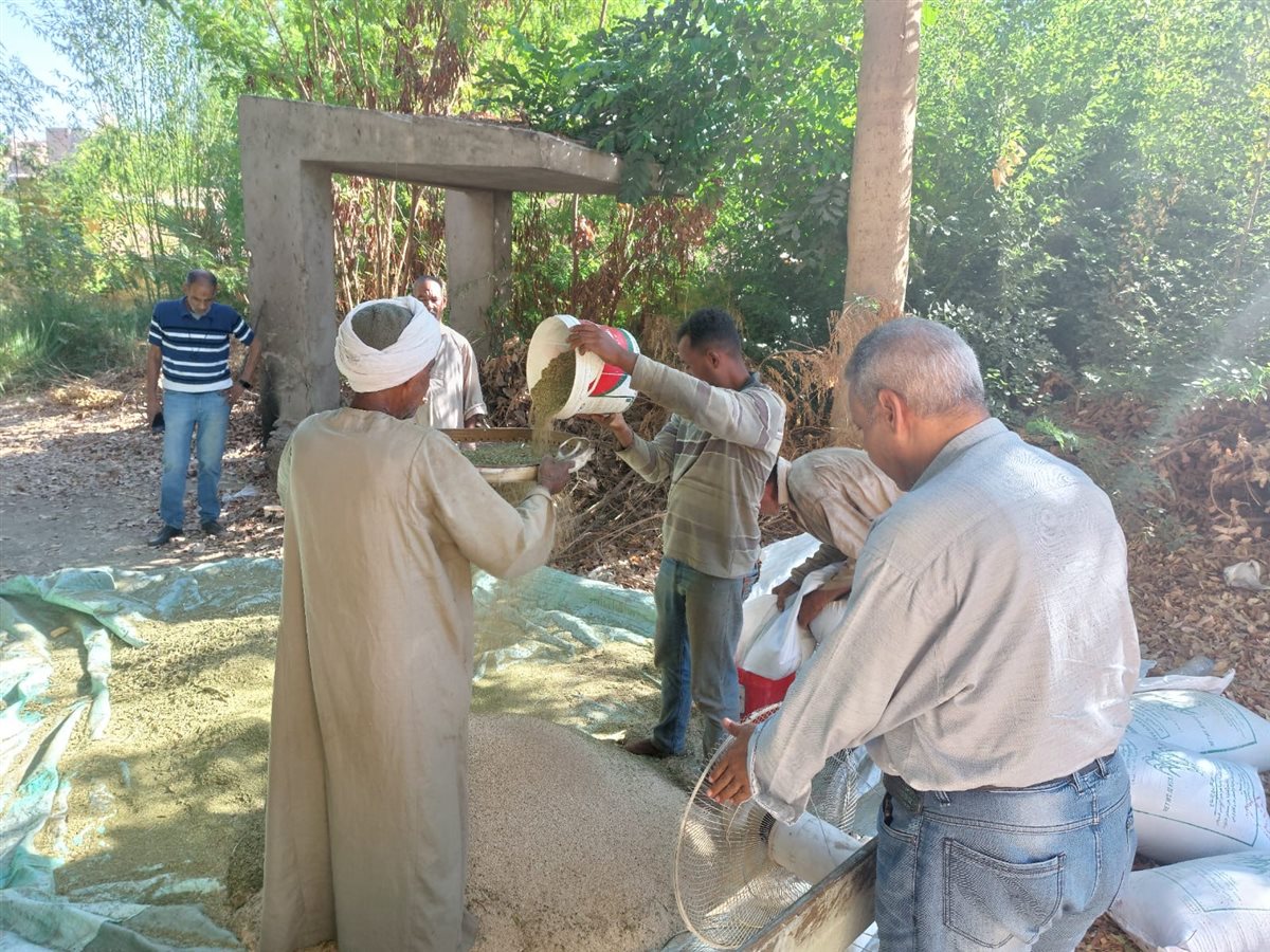 أعمال تطهير مساقي المياه بالأقصر