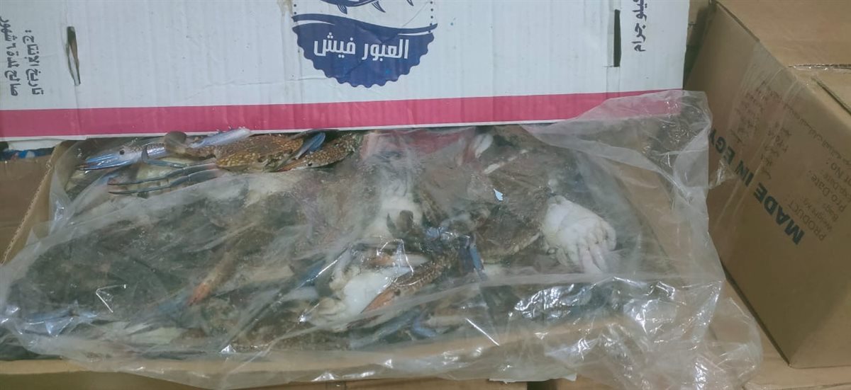 حملات مكثفة لتموين الأقصر