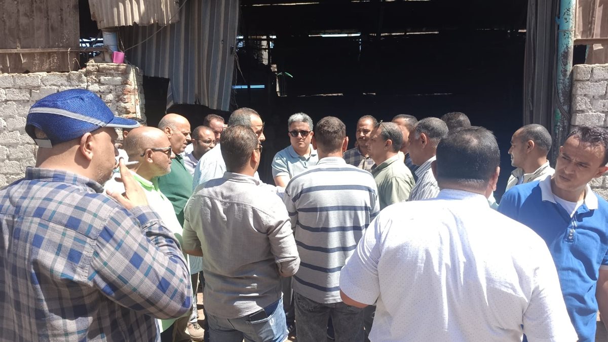 مشروع تطوير إسنا