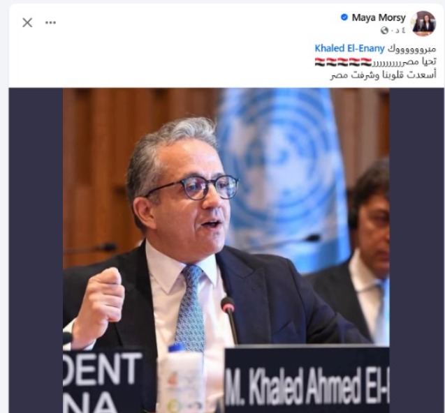 الدكتور خالد العناني