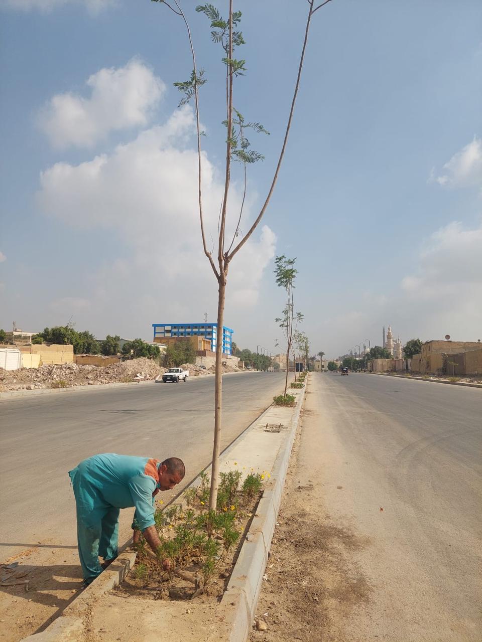 أعمال التشجير والتجميل