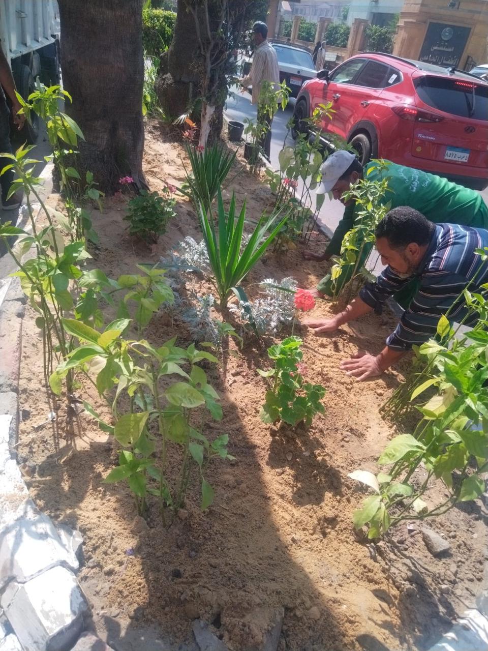 أعمال التشجير والتجميل