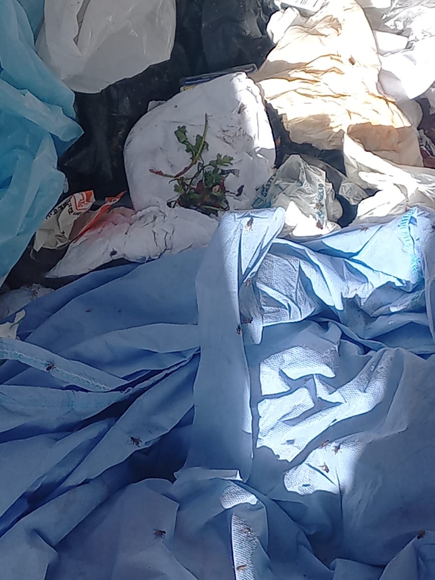 تحرك عاجل لصحة الأقصر استجابة للقاهرة 24