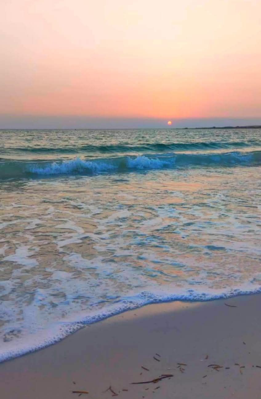 رأس راية ريفيرا مصر الحديثة 