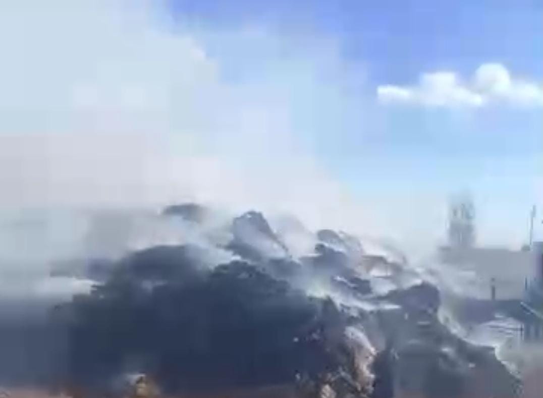 حريق قش الأرز بكفر الشيخ