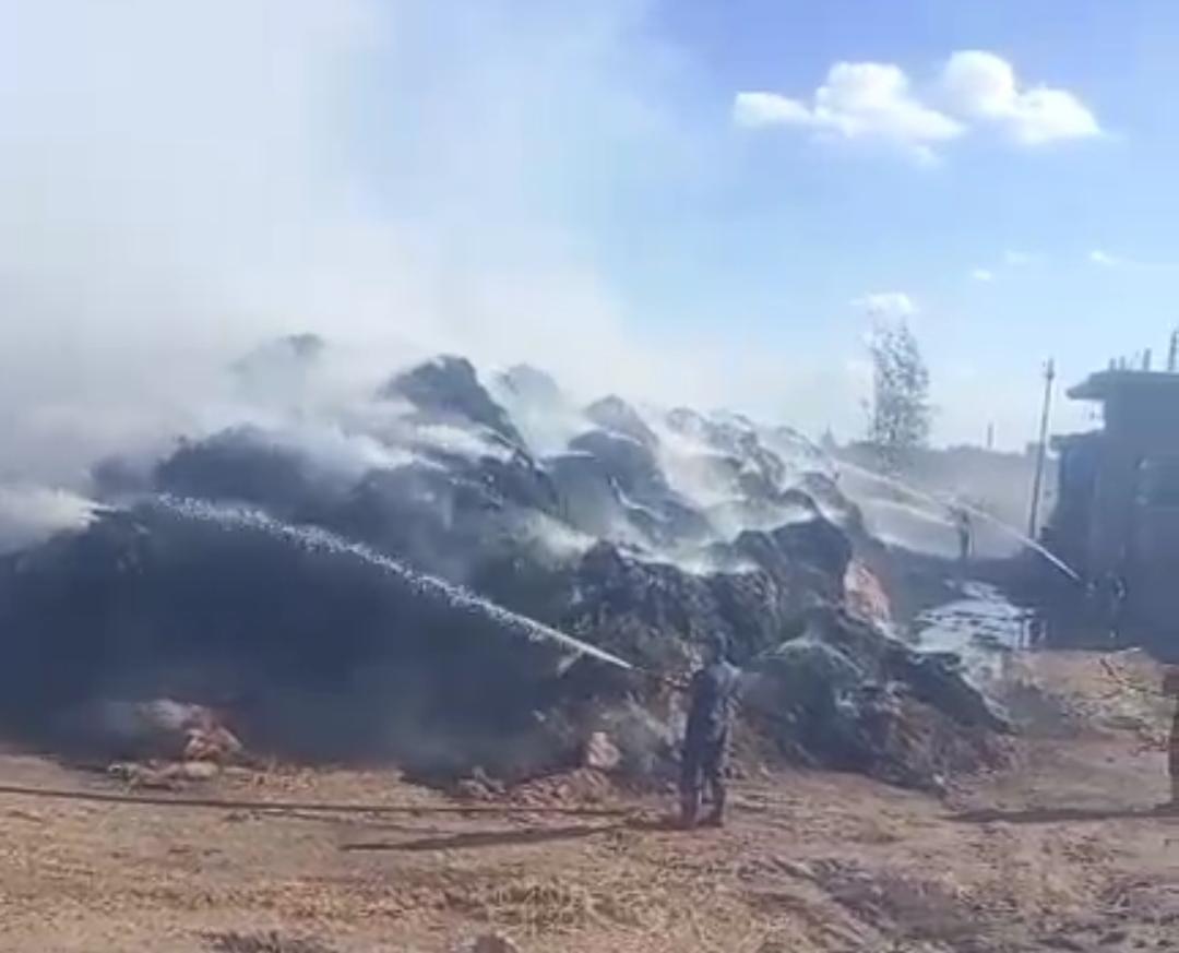 حريق قش الأرز بكفر الشيخ