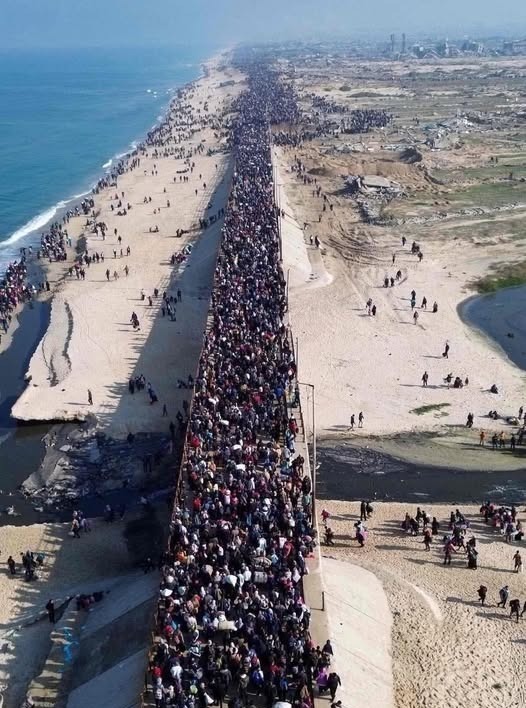 أهالي غزة بطريق الرشيد