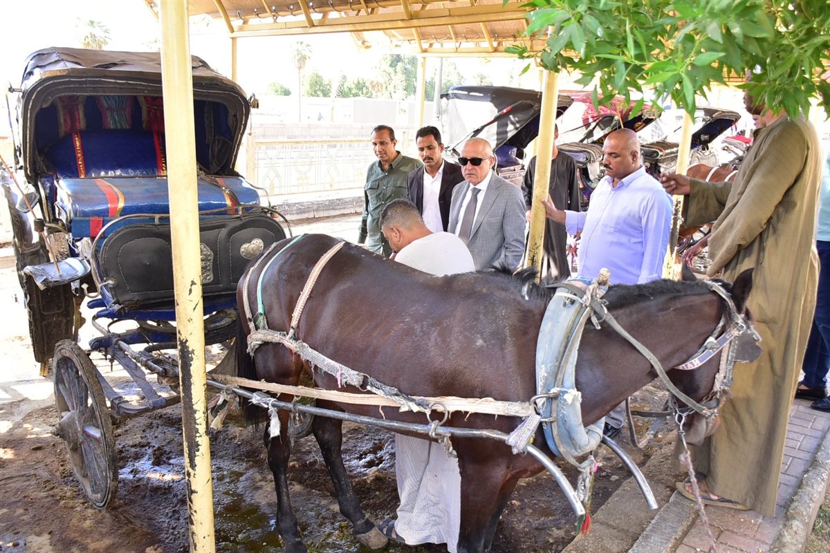 جولة محافظ الأقصر اليوم 