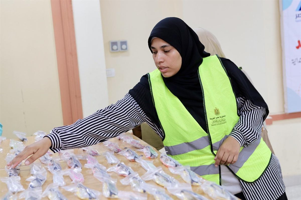 جانب من الحملة