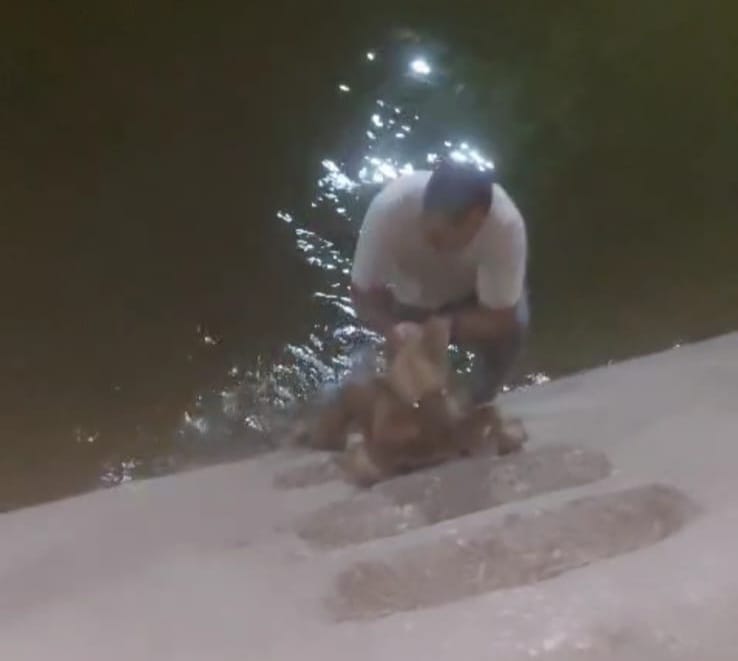 شاب ينقذ كلبا بأحد الترع في الأقصر 