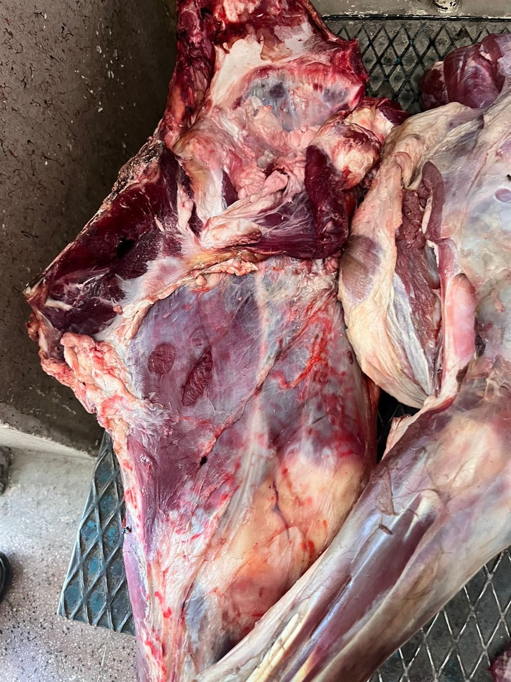 ضبط لحوم بأختام مزورة بالأقصر 