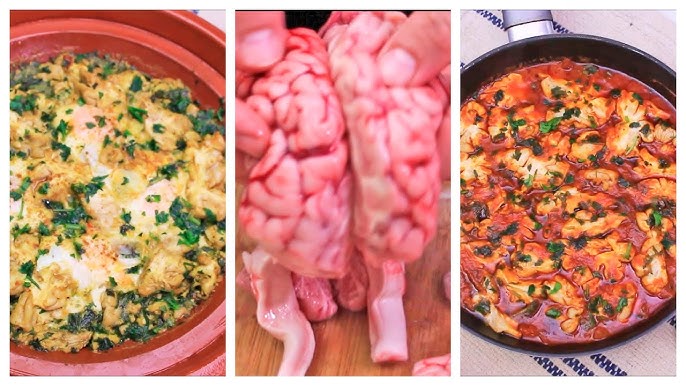 طريقة عمل المخ بالبيض