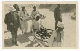 صور نادرة لأول مرة عن مجموعة توت عنخ آمون