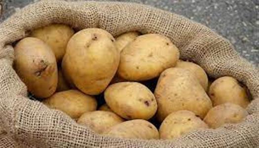 أسعار البطاطس اليوم في سوق العبور