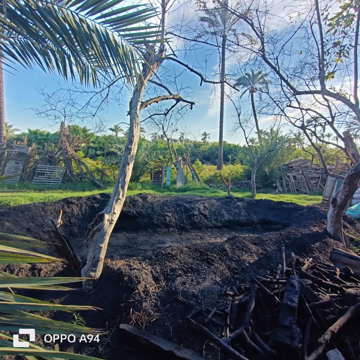 مكامير الفحم بدمياط 