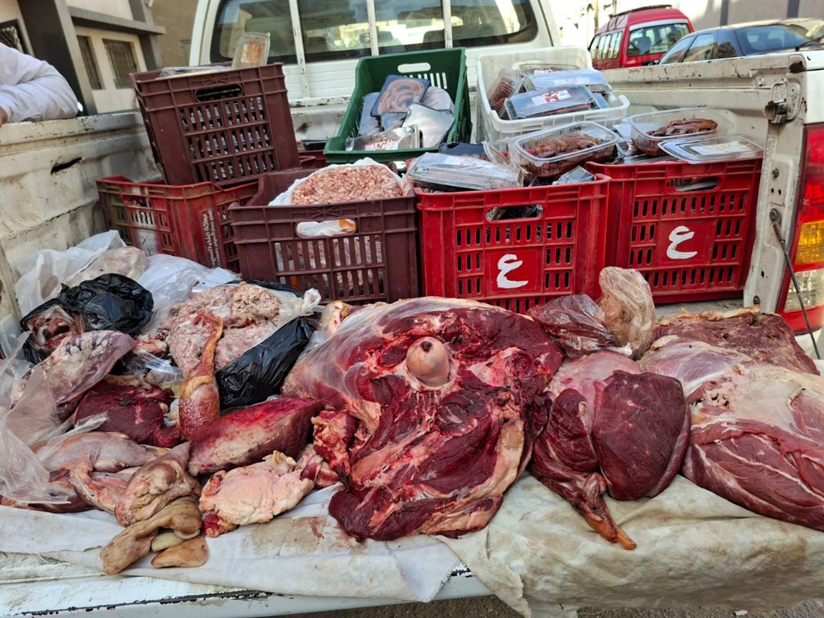 جانب من الحملة 