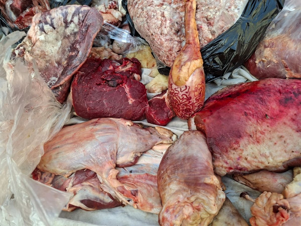 جانب من الحملة 