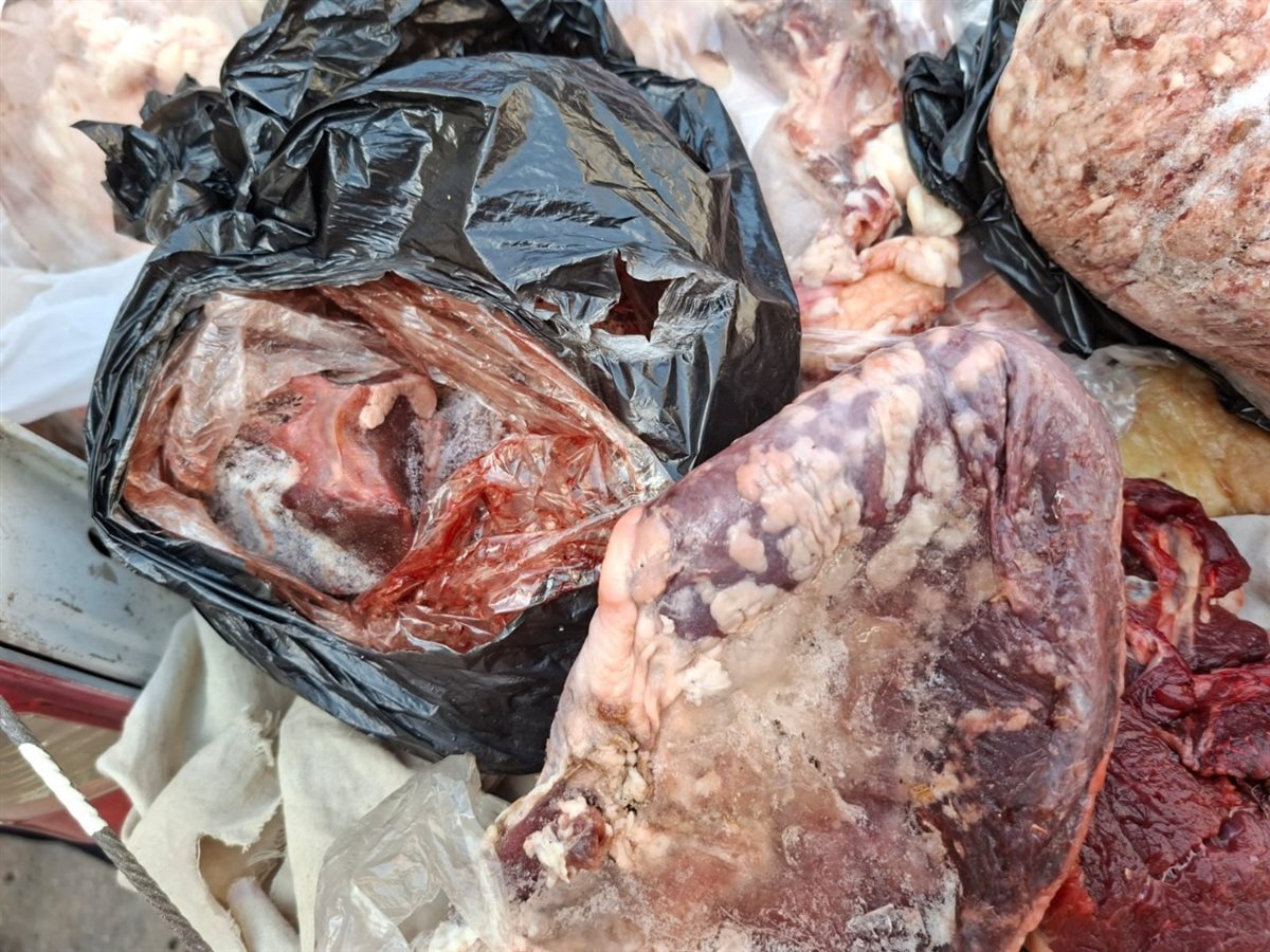 جانب من الحملة 