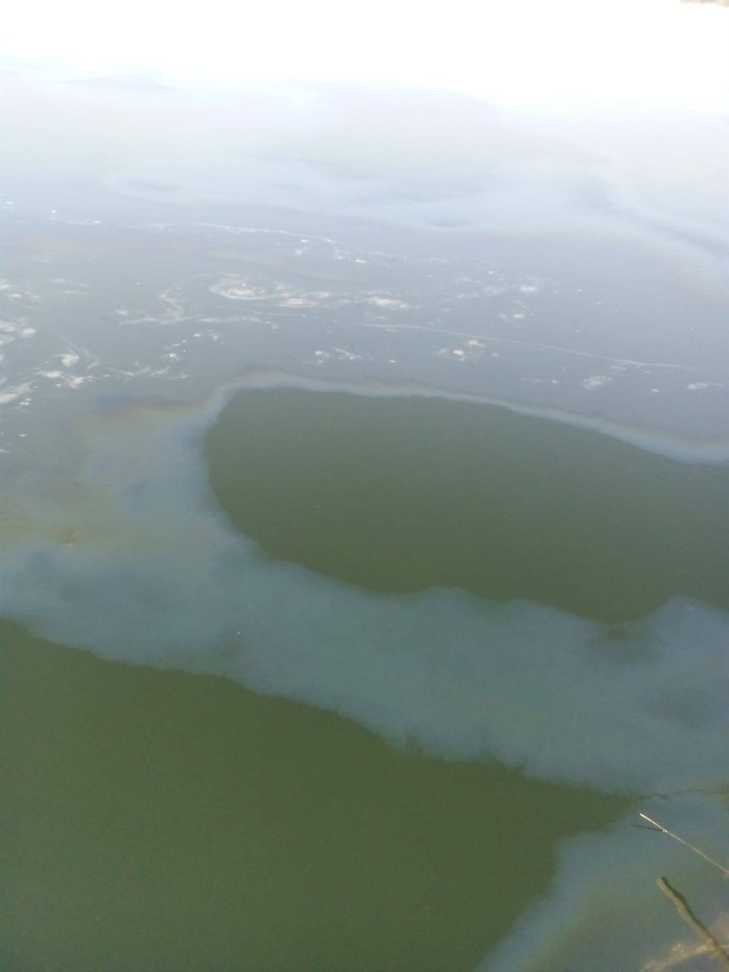 ظهور بقعة زيت بنيل الاقصر