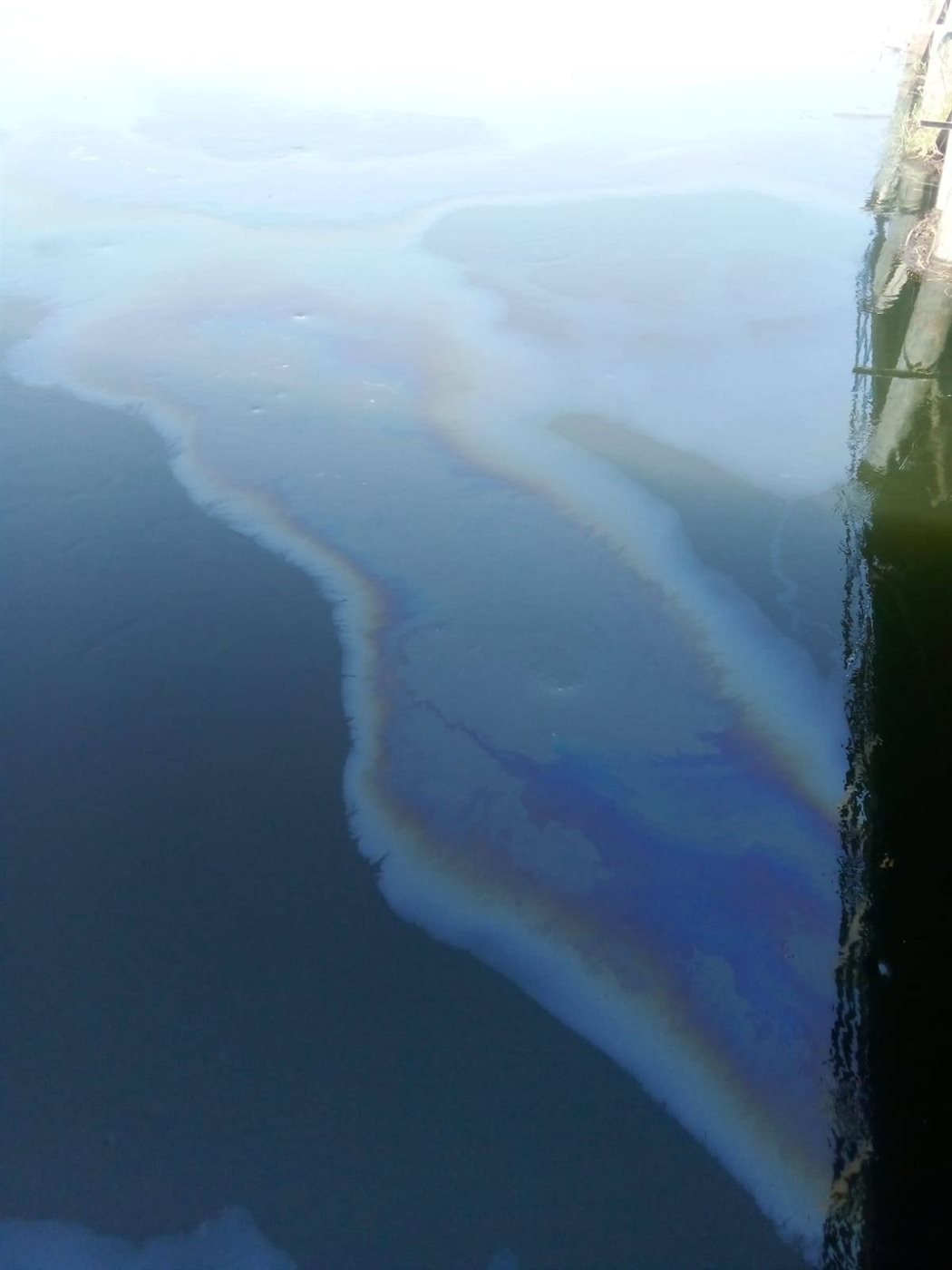 ظهور بقعة زيت بنيل الاقصر