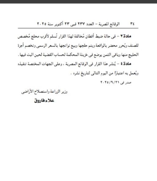 الجريدة الرسمية