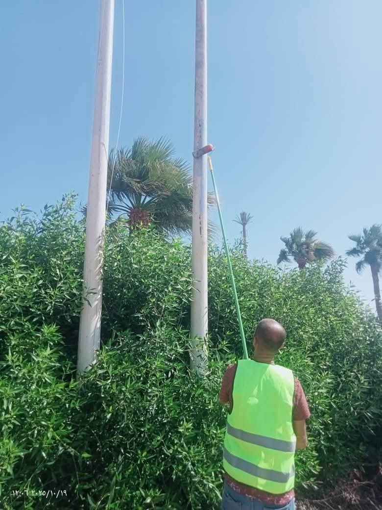 تجميل شرم الشيخ