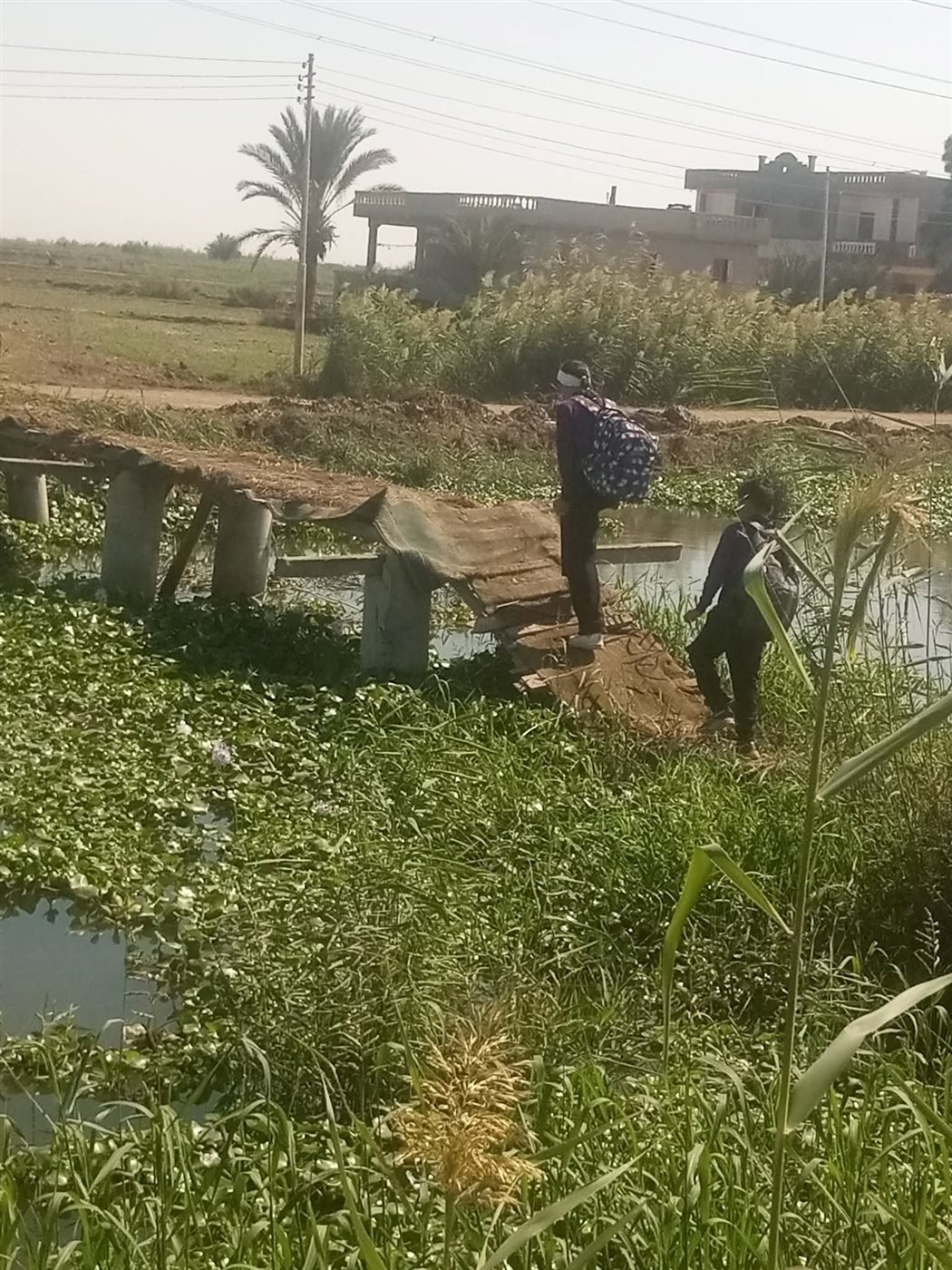 كوبري قرية عايد ببورسعيد 