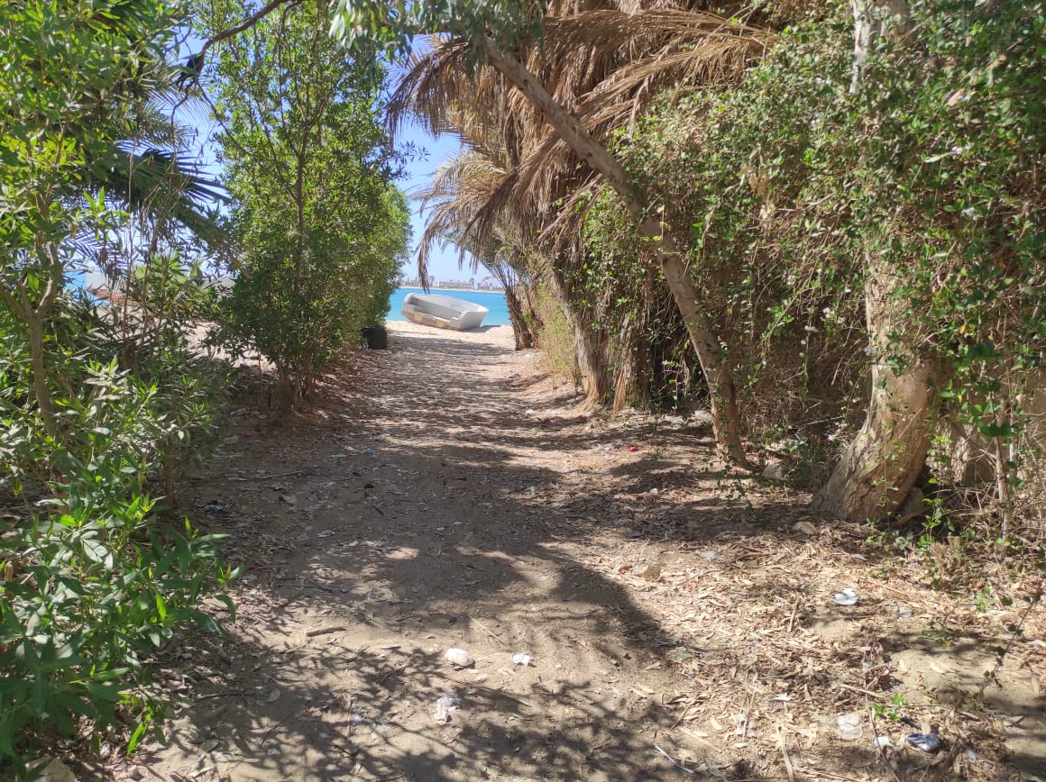 نظافة منطقة شاطئ الكيلاني بطور سيناء 