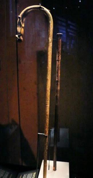 بعض العصي الخشبية الخاصة بالملك توت عنخ امون والتي يعتقد انها كانت تستخدم في المشي والاتكاء