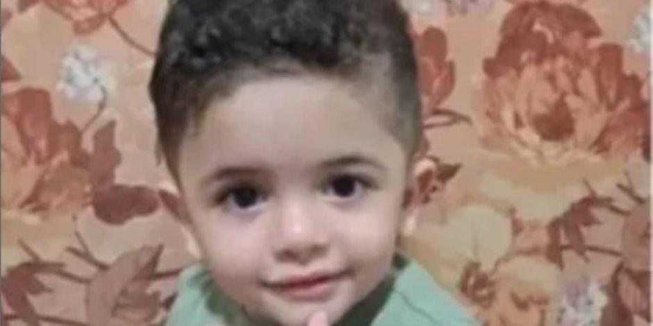 دورة حياة الذبابة