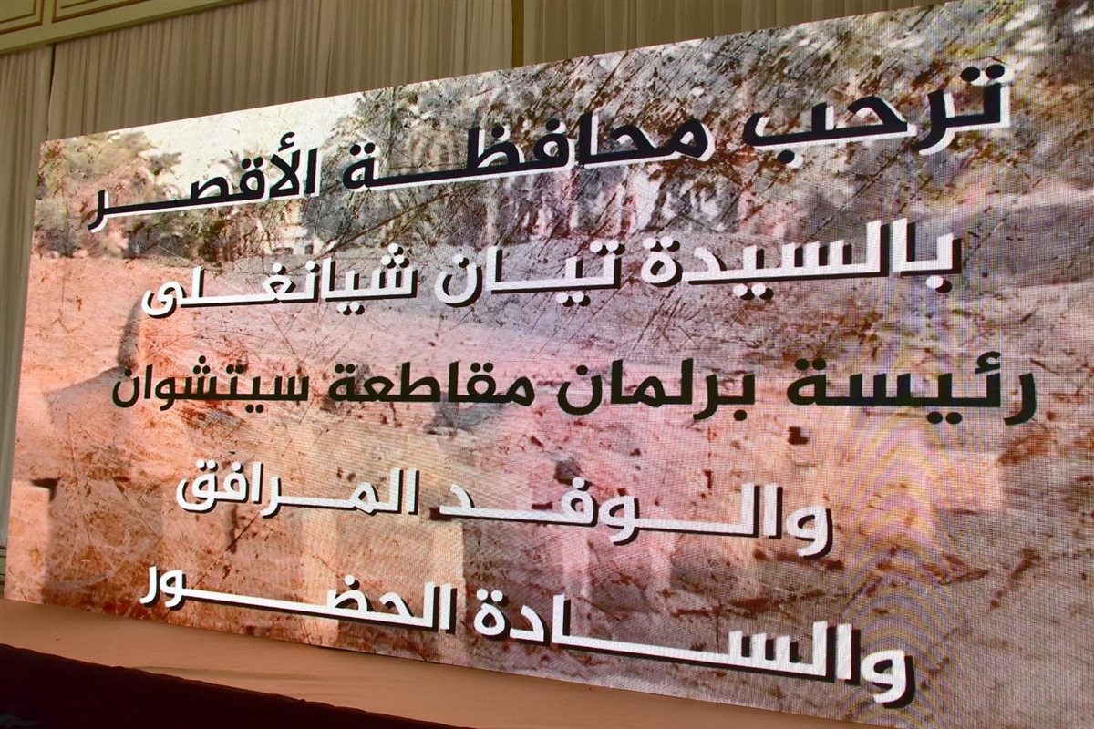 محافظ الأقصر والوفد الصيني 