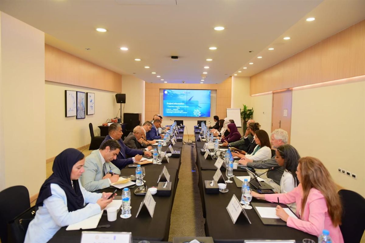 لجان تيسيير مشروع مبادرة البحر الأحمر المصرية