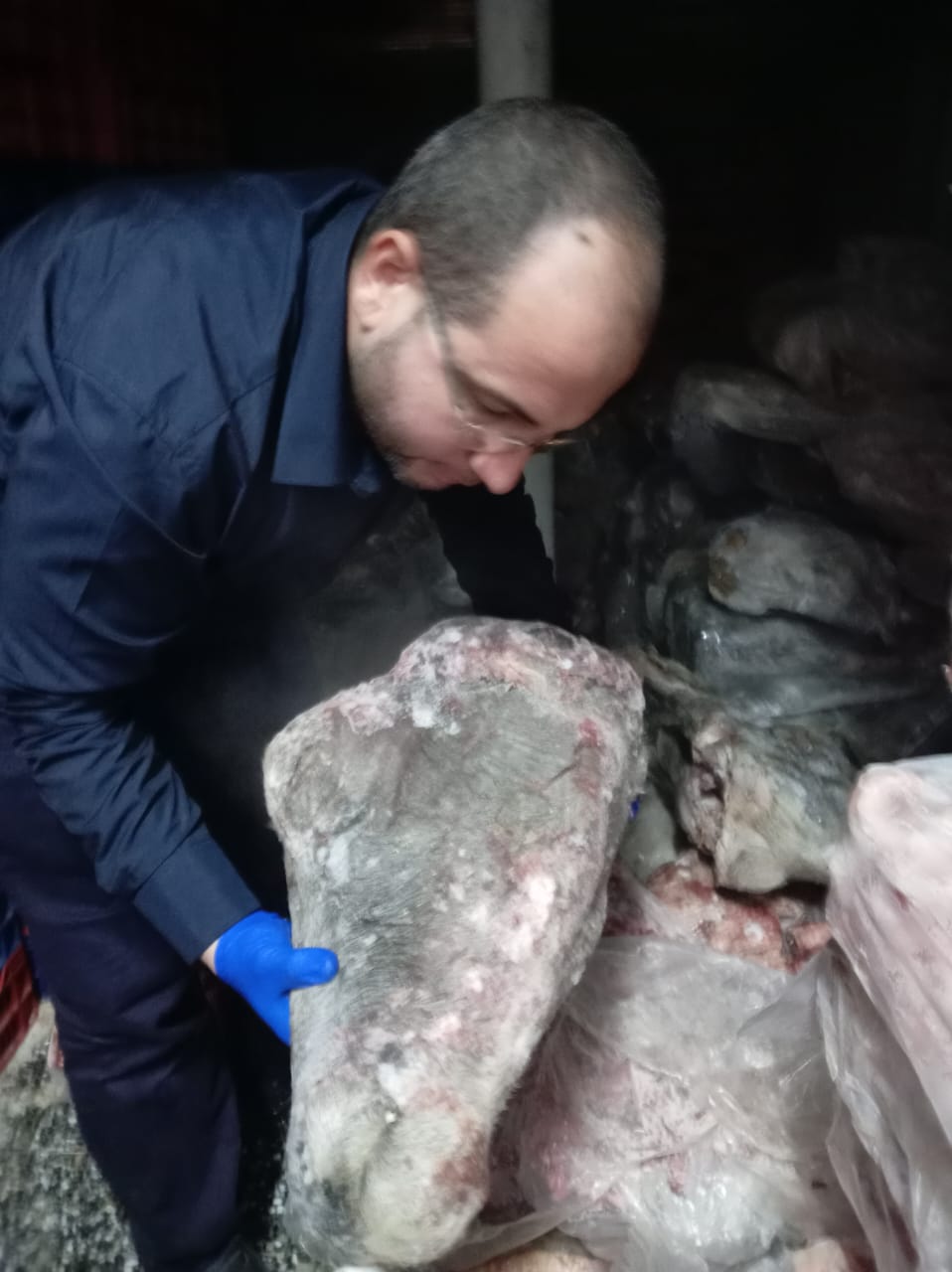 جانب من الحملة