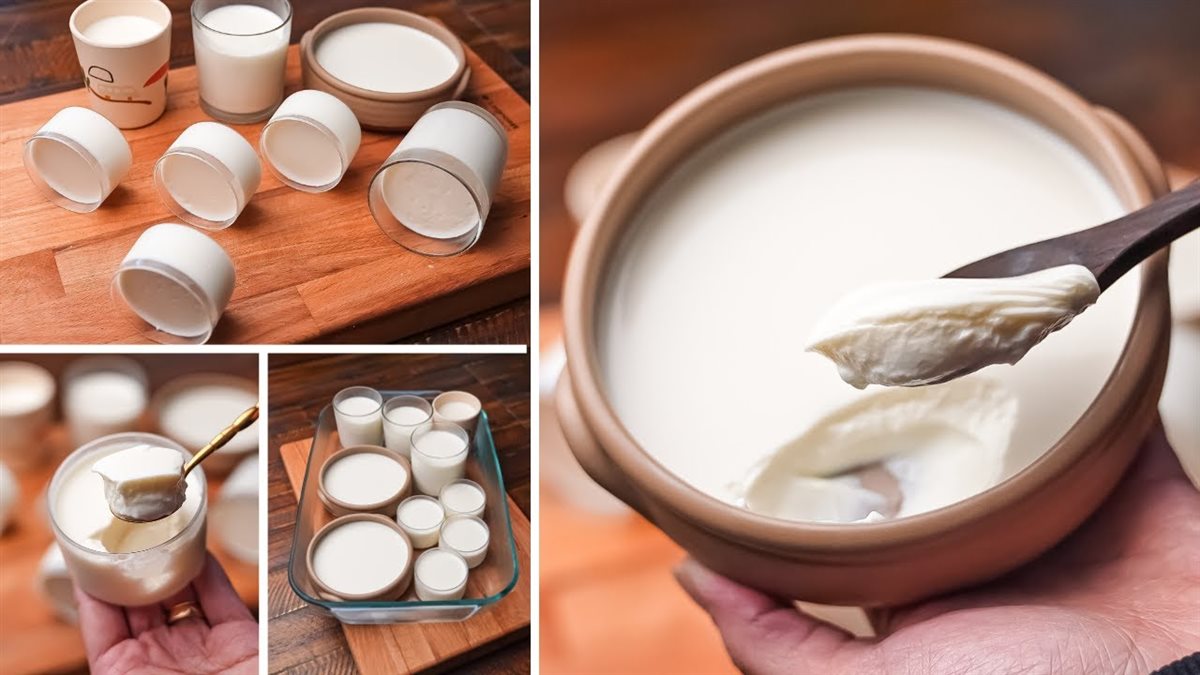 طريقة عمل الزبادي في البيت