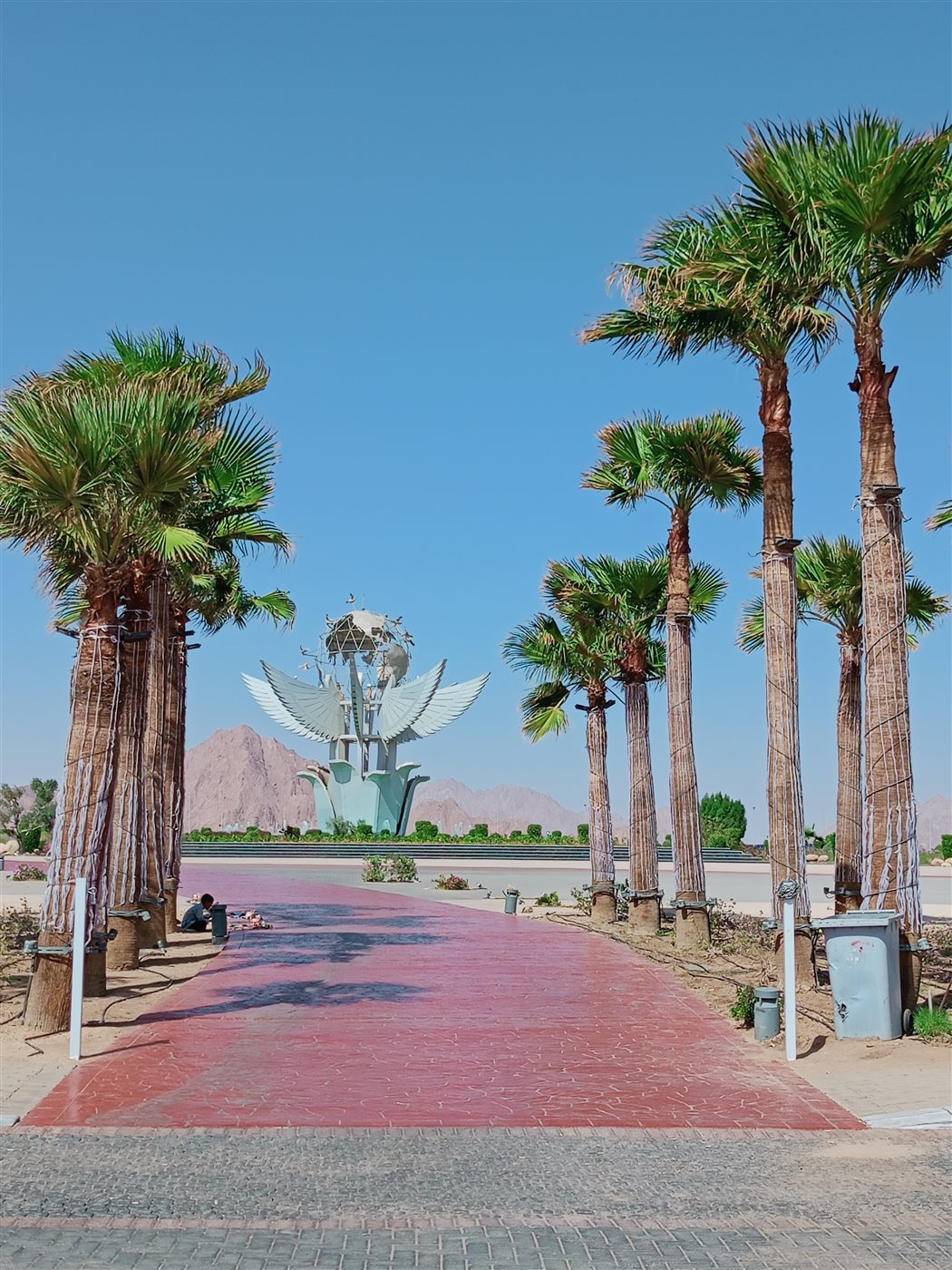 جانب من الاستعدادات