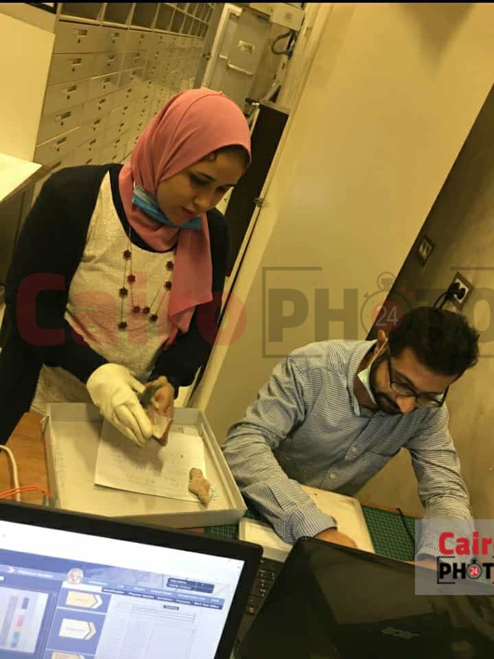 خلية نحل داخل المتحف المصري الكبير قبل ساعة واحدة من الافتتاح التاريخي