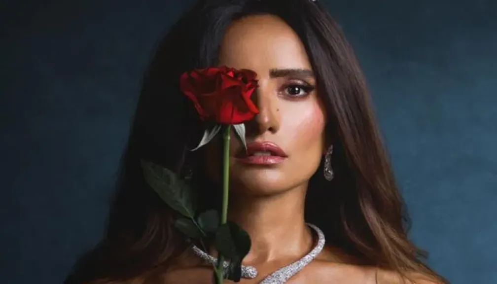 زينة مسلسل ورد وشوكولاتة