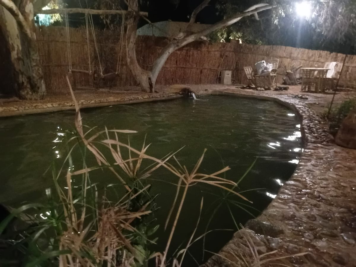 عيون المياه الكبريتية بواحة سيوة