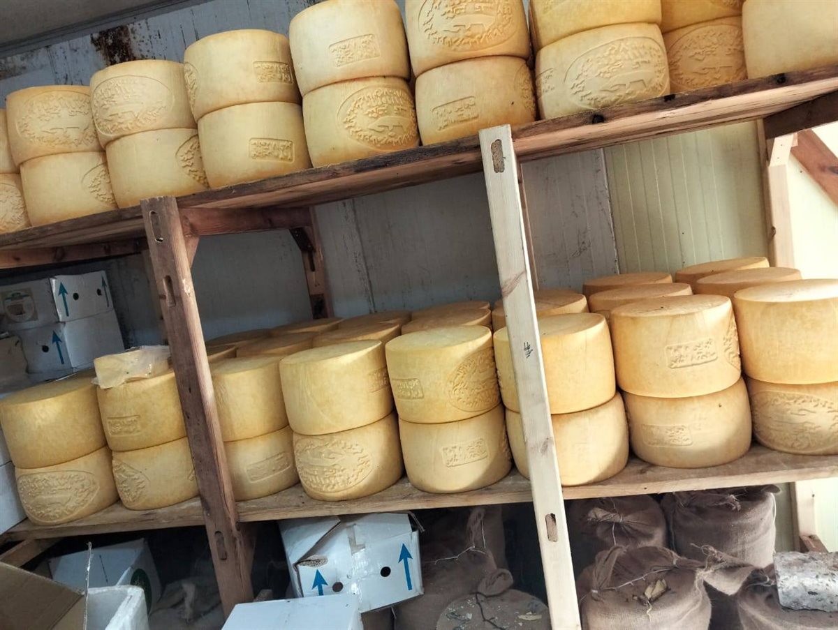 جانب من المضبوطات