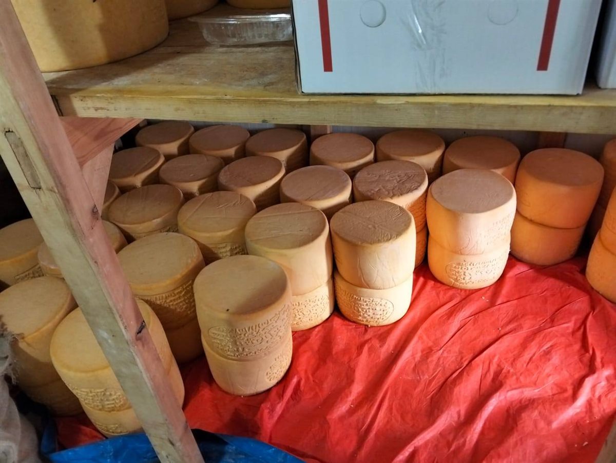 جانب من المضبوطات