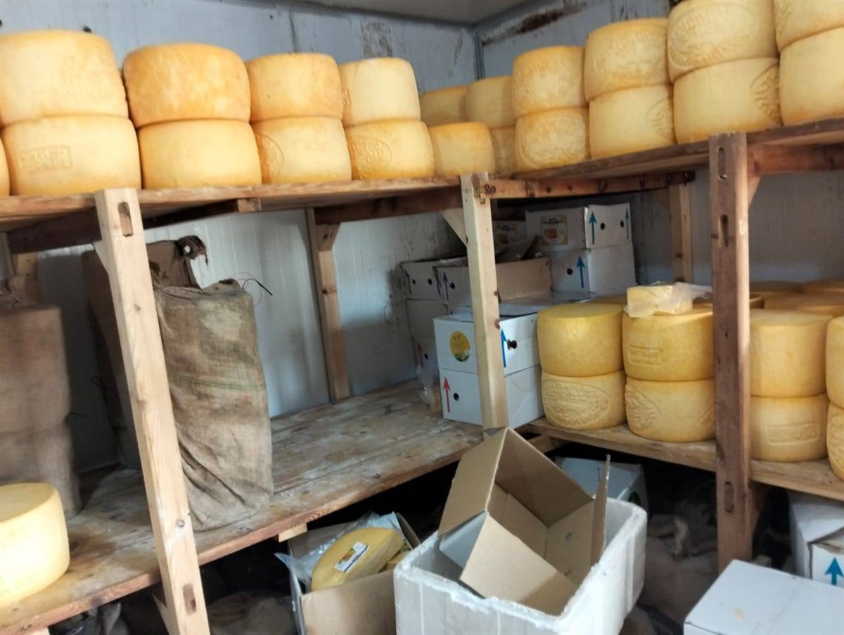 جانب من المضبوطات