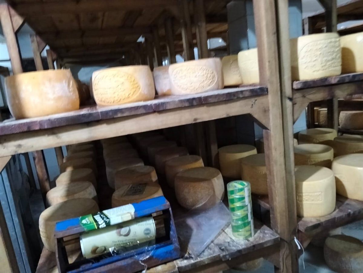 جانب من المضبوطات