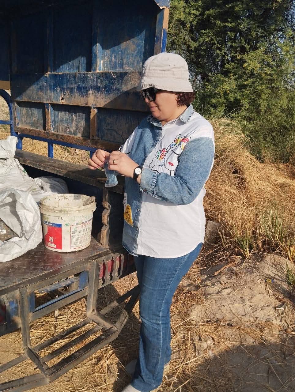 حصاد زراعة الأقصر